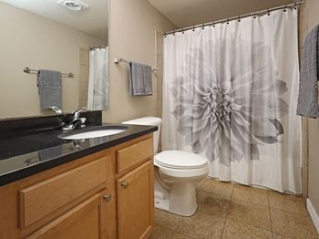 Model suite updated master bathroom - stonebridge waterfront in flats district cleveland oh